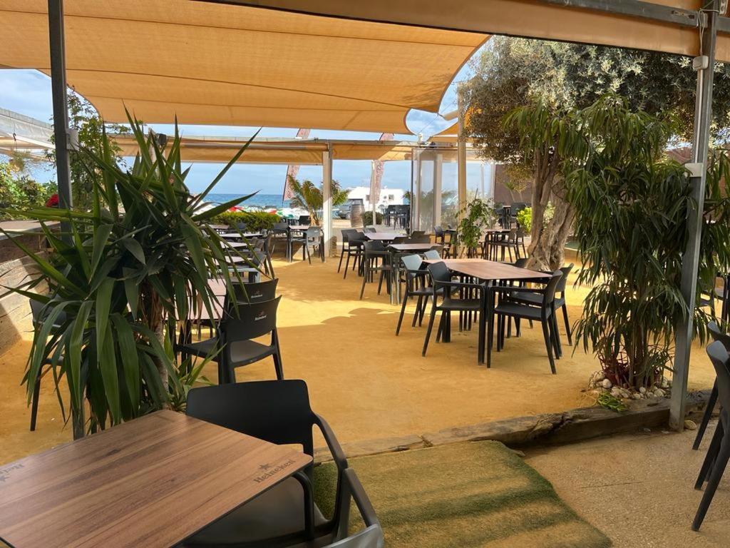Beach Apartment Amalia Торрев'єха Екстер'єр фото